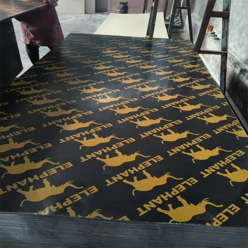 Black Brown Film Faced Plywood manufacturers