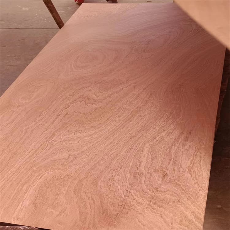 door size plywood (44) (1)