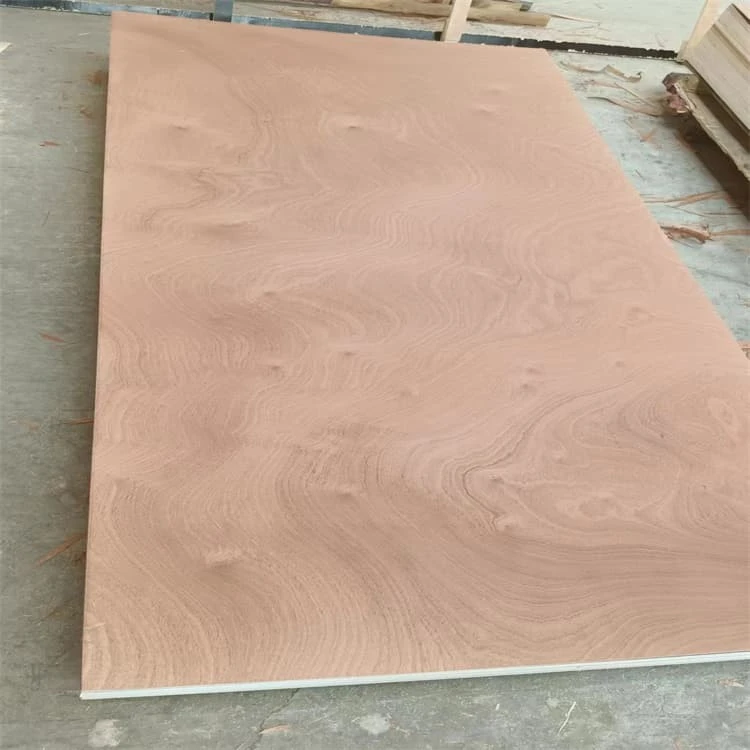 door size plywood (40) (1)