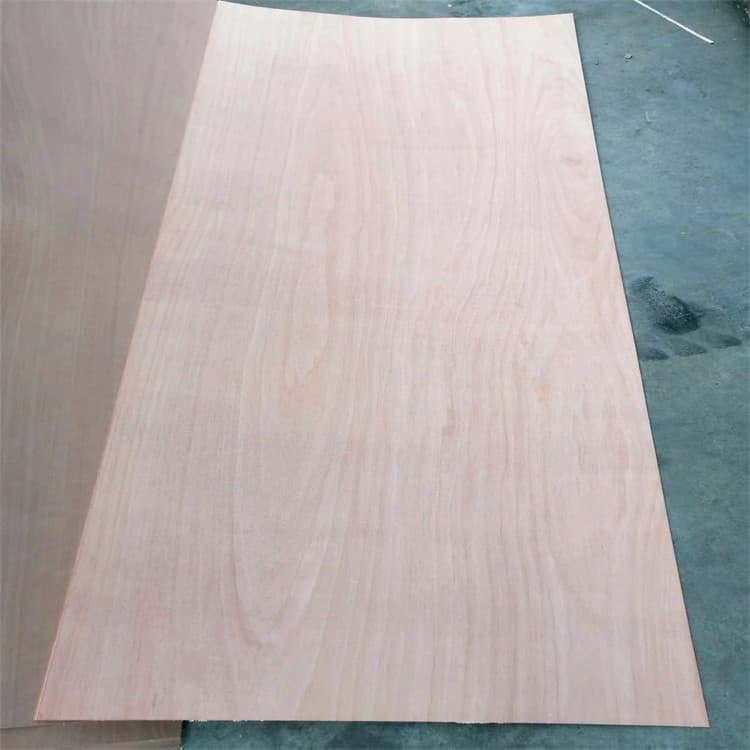 Door Used Plywood