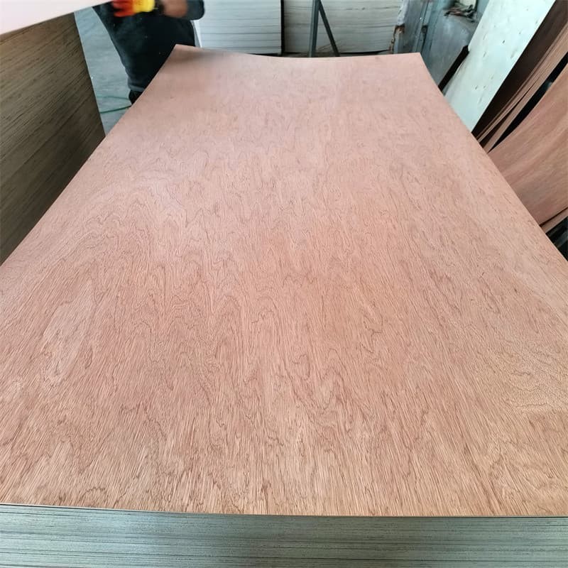 bintangor plywood (5) (1)