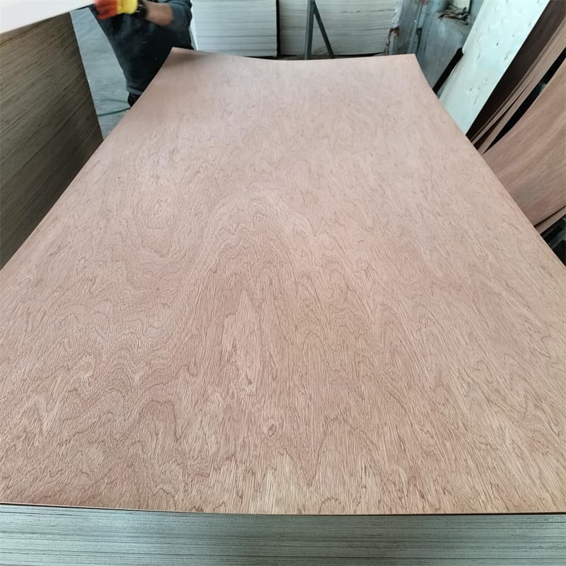 bintangor plywood (4) (1)