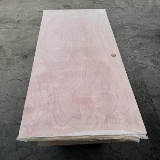 Flat Interior Door