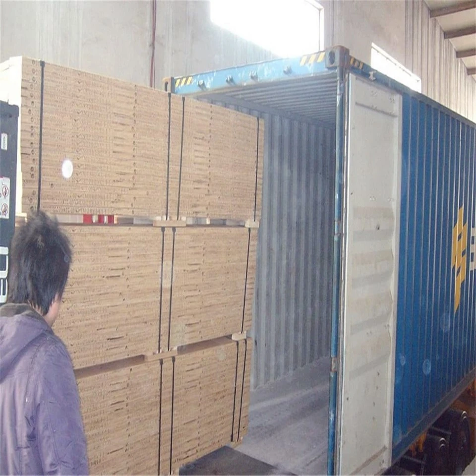 Pine LVL Scaffolding Plank factory