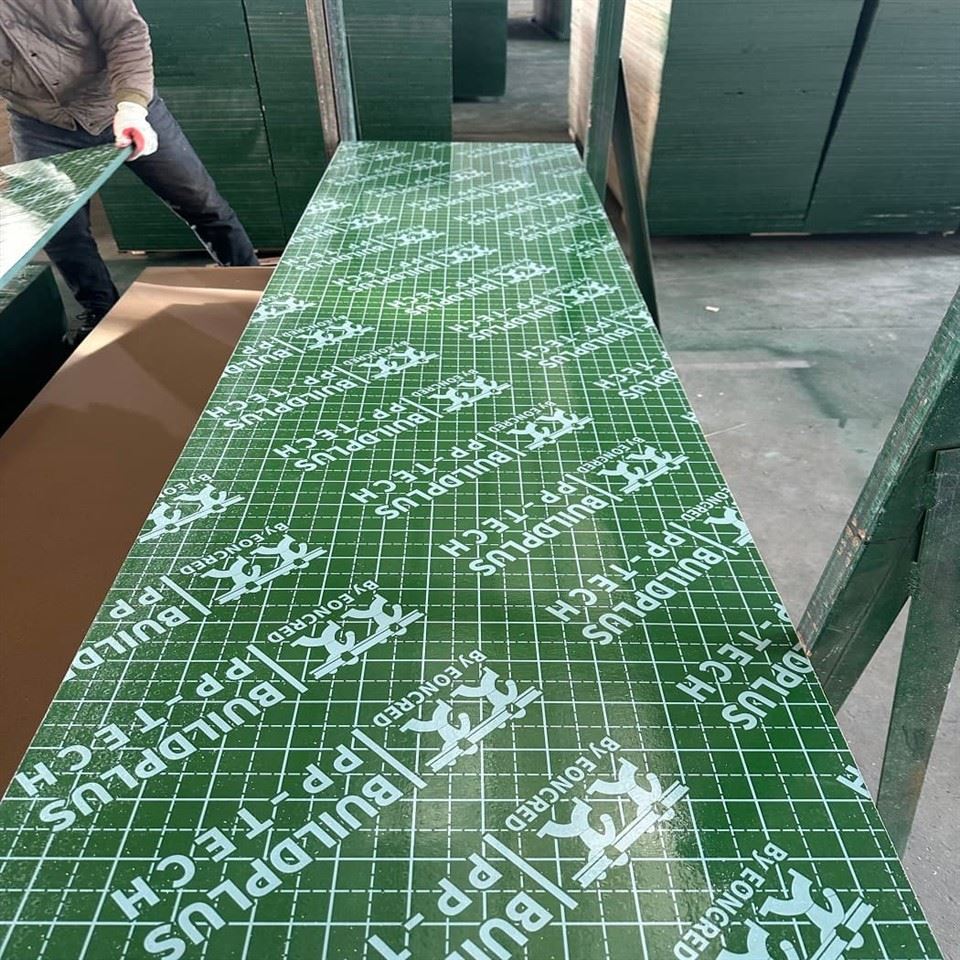 Pp Plastic Film Faced Plywood best