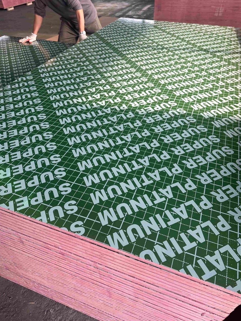 Pp Plastic Film Faced Plywood price