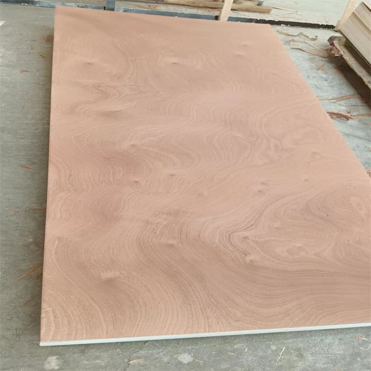 product-750-750 product-750-750