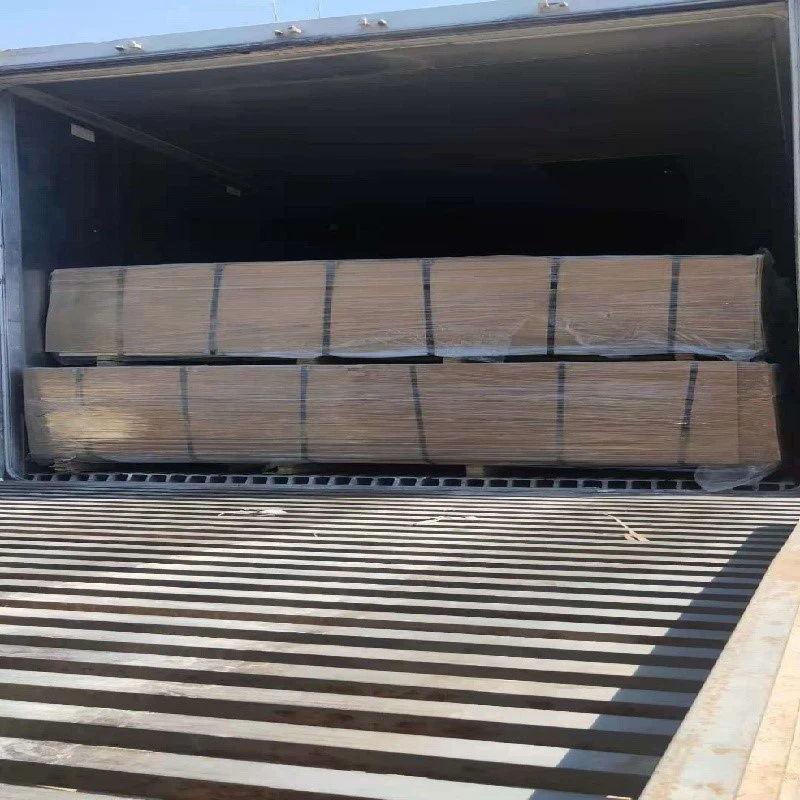 product-800-800 product-800-800