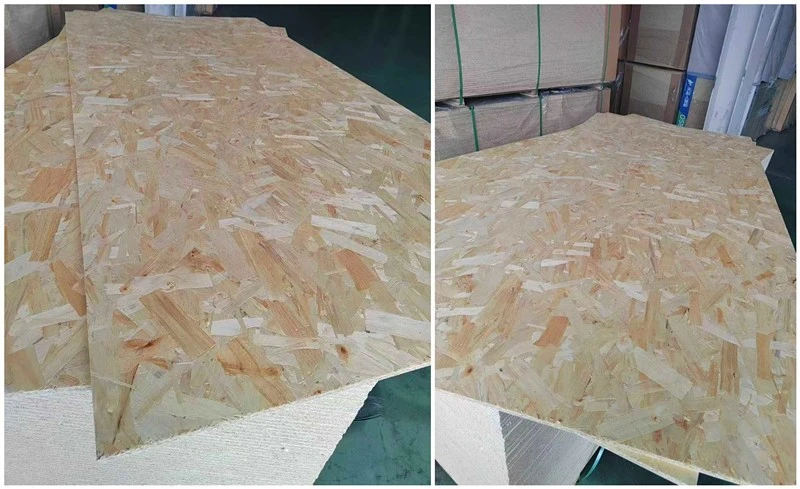 product-800-489 product-800-489