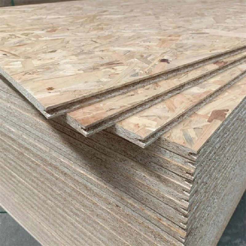 product-800-800 product-800-800