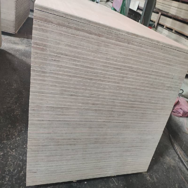 product-800-800 product-800-800