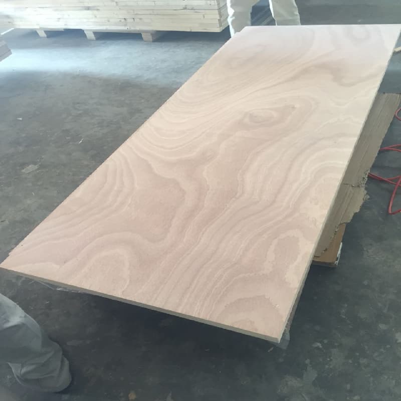 product-800-800 product-800-800