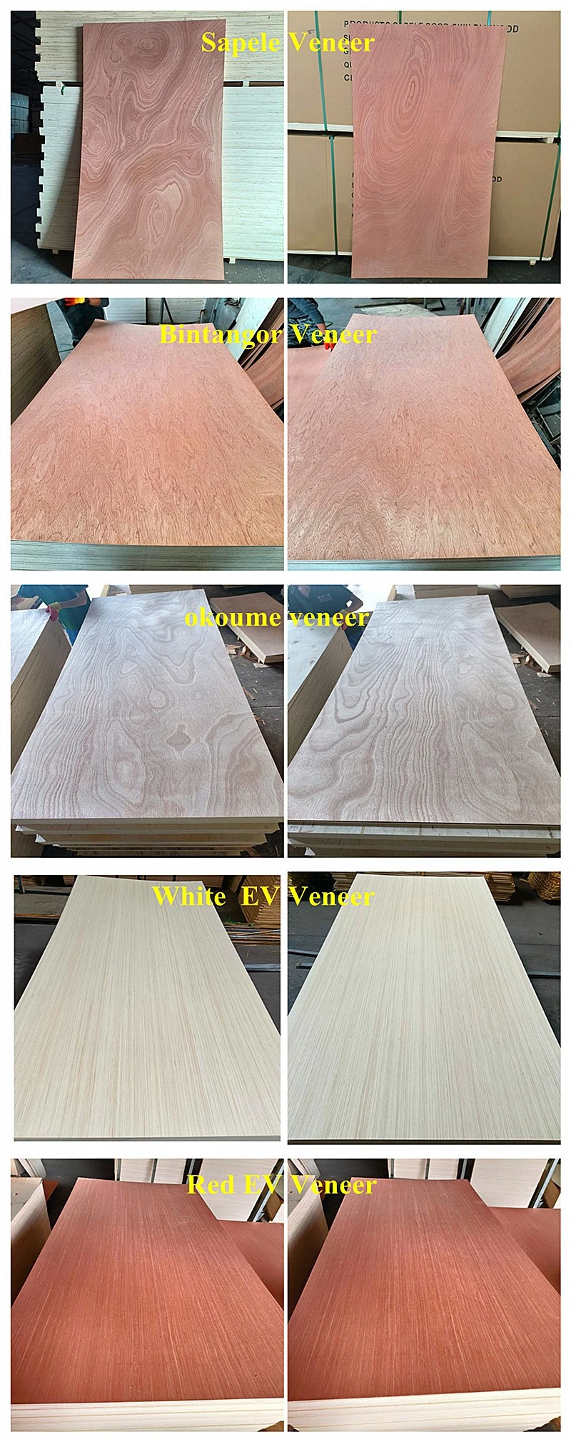 product-800-2019 product-800-2019